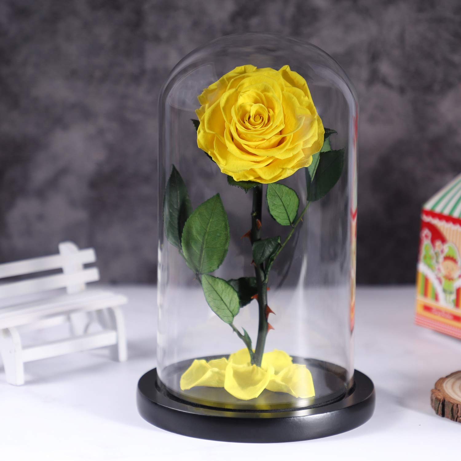 1in x 9in) wooden chassis and glass dome beautiful gift box