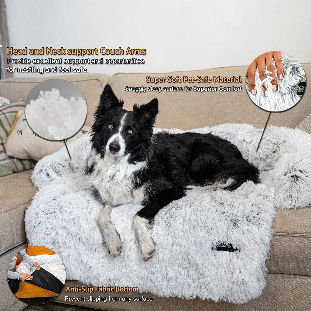  The Ultimate Guide to Pampering Your Pet at The Hairy Sofa Pet Grooming Boutique