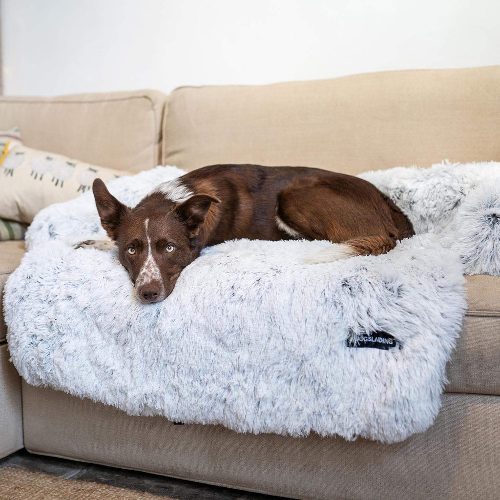  The Ultimate Guide to Choosing the Best Pet Resistant Sofa for Your Home