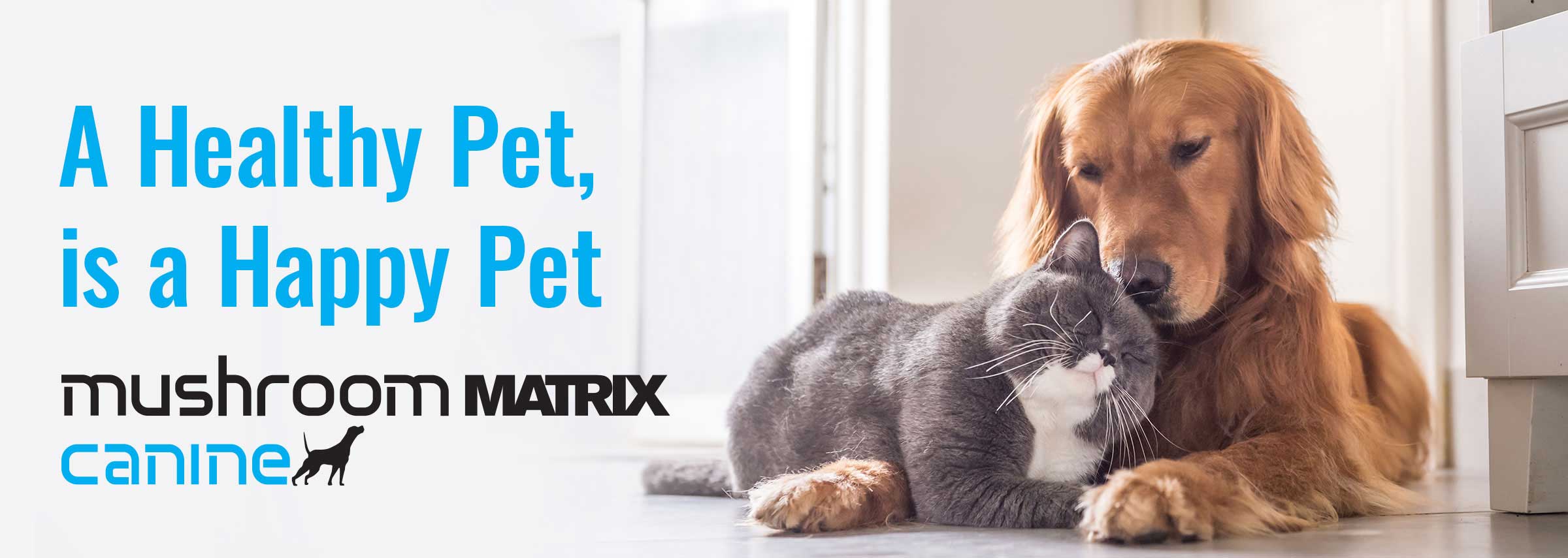  Unlock the Secrets of Pet Care with Masters Pet: Your Ultimate Guide to Happy and Healthy Pets