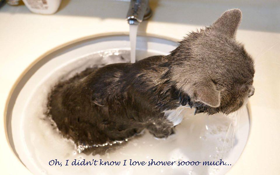 SleepZone,HotSummer,StayCool,SummerTips,CoolSummer,HappyShare