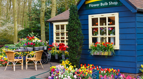 When is the best time to travel to Western Europe?