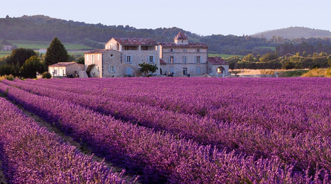 When is the best time to travel to Western Europe?