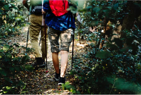 What to carry in hiking backpack?