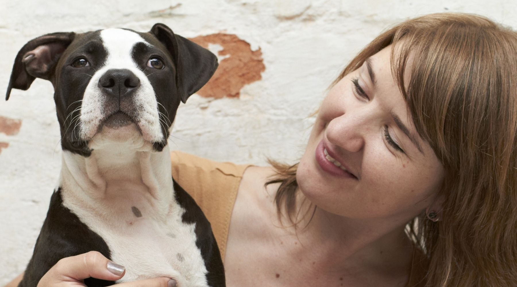  Discovering Pet Cemetery Lubbock: A Heartfelt Tribute to Beloved Pets