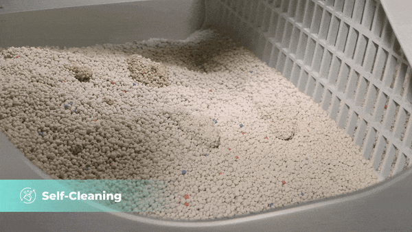 iKuddle self-cleans for you so you never have to scoop again!