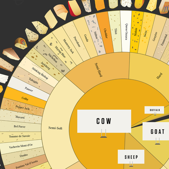 charted,concluding the charted cheese wheel
