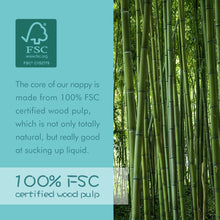 Load image into Gallery viewer, Organic Bamboo Disposable Eco Baby Nappies size 4 (9-14kg) 102 Count