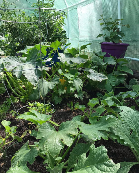 Quictent Greenhouse Lush Corner