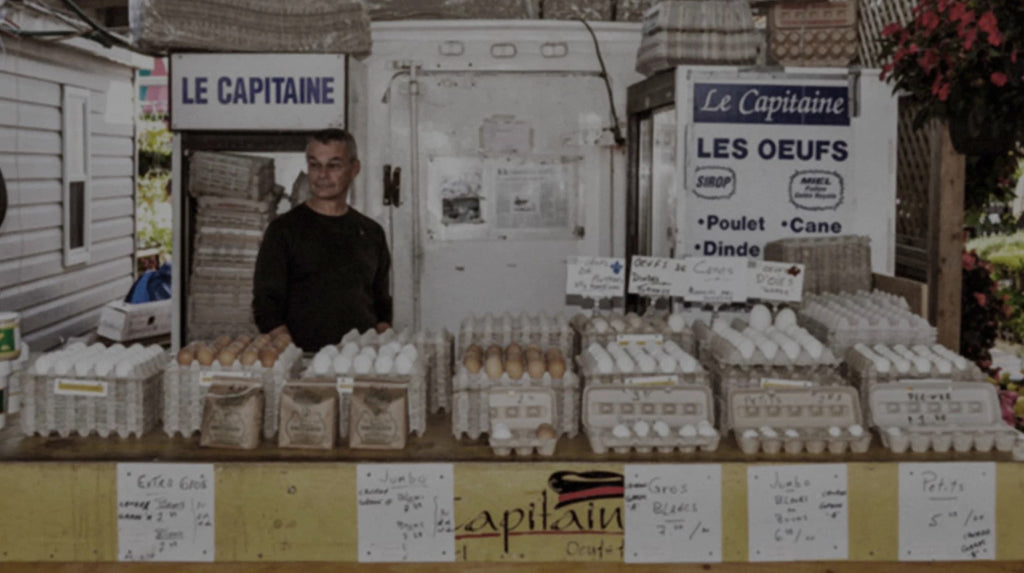 致创业家的一封信