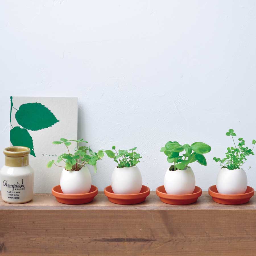eggling - surprising egg hatches plant - made in
