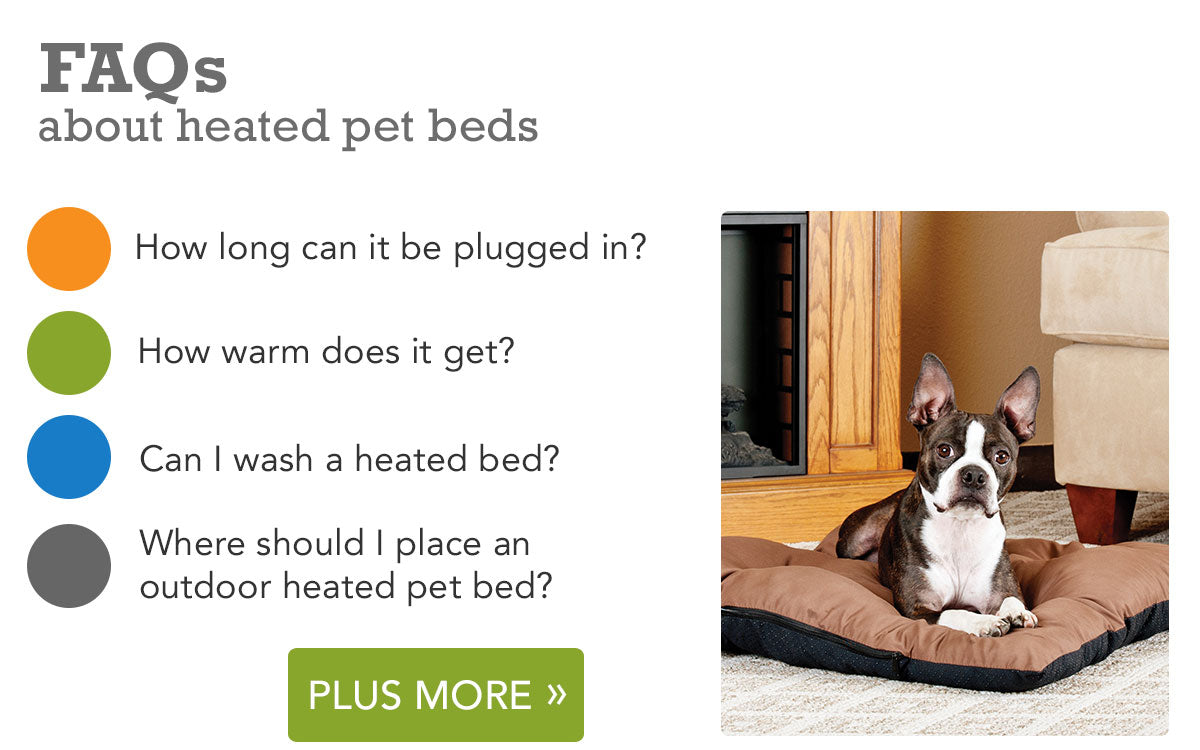  Discover the Best Hotels and Motels That Accept Pets for Your Next Adventure