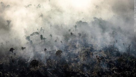 Scientists fear deforestation, fires and Covid-19 could create a 'perfect storm' in the Amazon--KELOPA