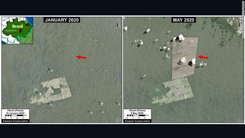 Scientists fear deforestation, fires and Covid-19 could create a 'perfect storm' in the Amazon--KELOPA