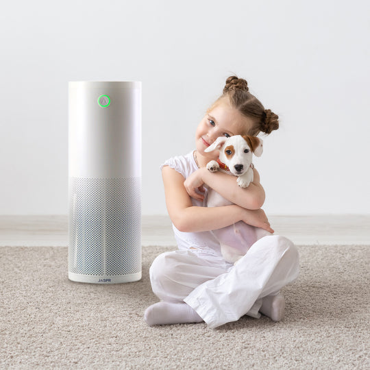  Discover the Best Air Purifiers for Pet Allergies: Breathe Easy and Live Comfortably