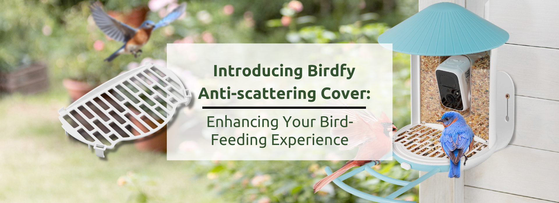 How to Attract Birds to Your Bird Feeder: A Comprehensive Guide