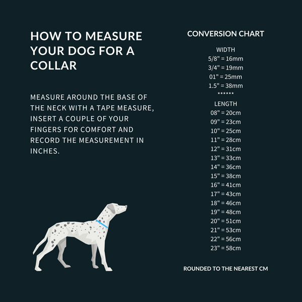 dog meck measure chart