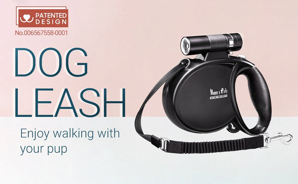 happy and polly dog leash