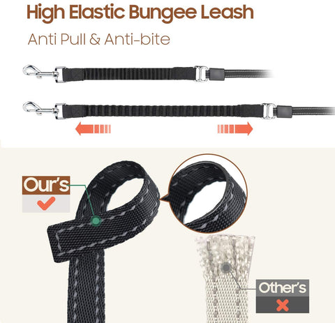 Bungee Dog Leash