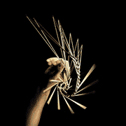 …this could help with symptoms of ADHD, spectrum disorders