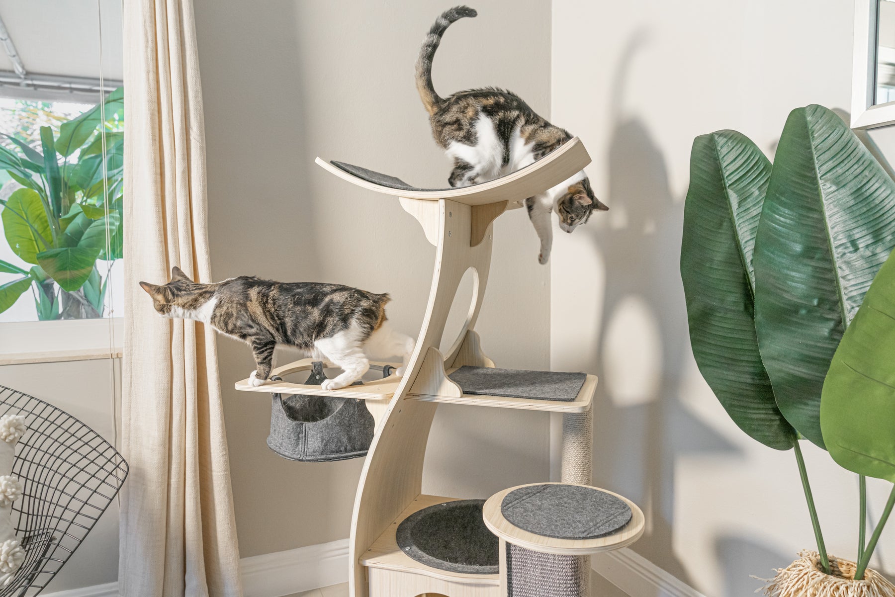  The Ultimate Cat Tree for 20 lb Cat: Perfect Playtime and Relaxation Space