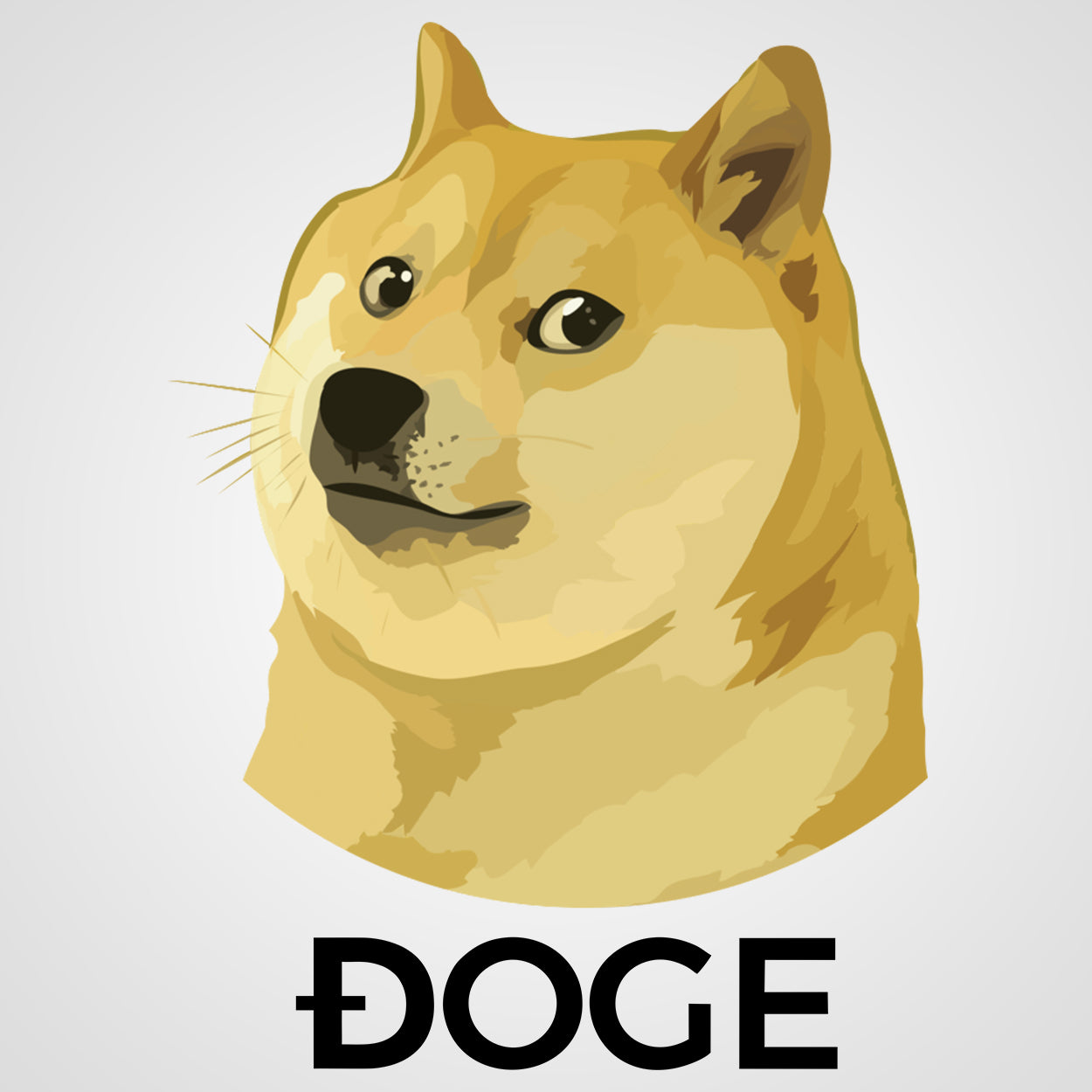 doge dog to the moon