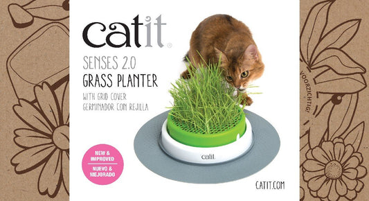  "Discover the Ultimate Cat Grass Grow Kit: A Complete Guide to Growing Healthy Cat Grass at Home"