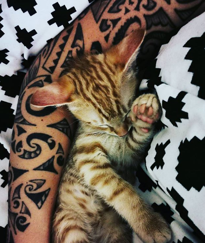 tribal tattoo with cat for men and women
