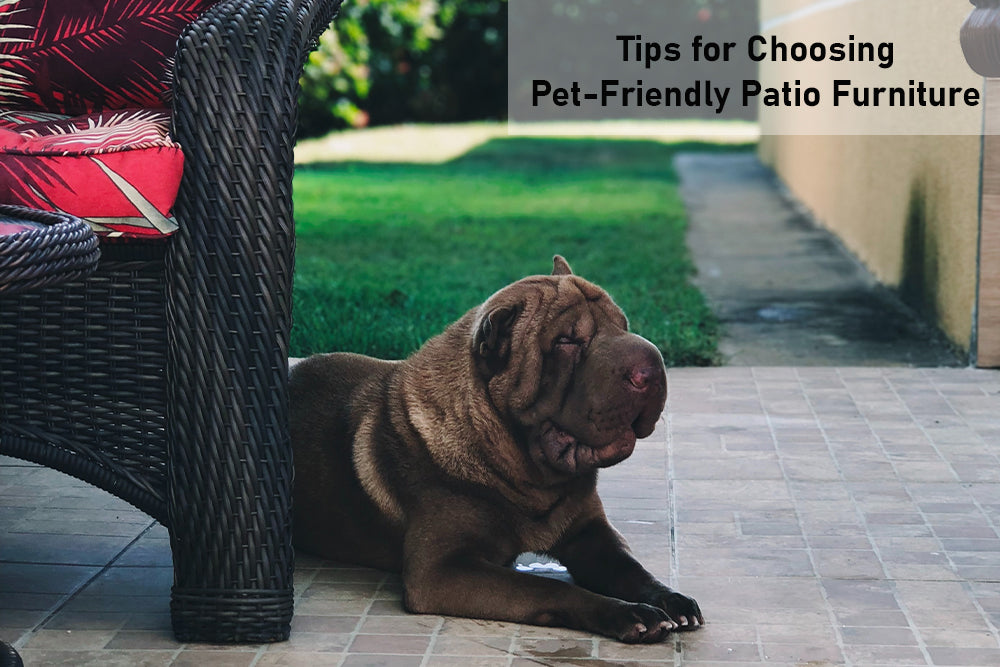  Discover the Best Pet Friendly Hotels Estero FL: Your Ultimate Guide to Traveling with Pets