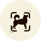 Motion Detection function icon