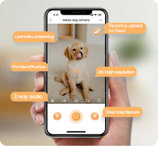 dokoo pet camera vertical screen operation