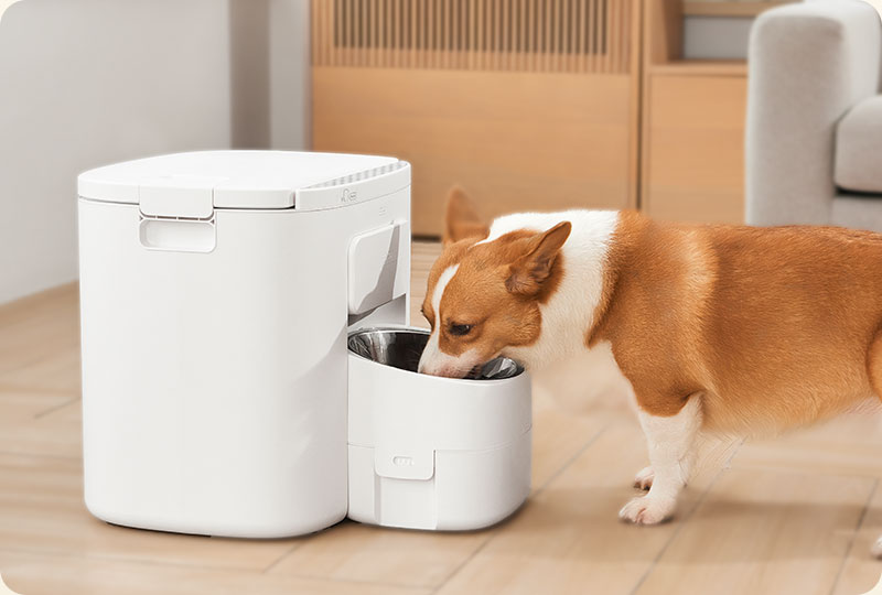 automatic dog feeder for large breeds