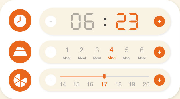 timed dog feeder
