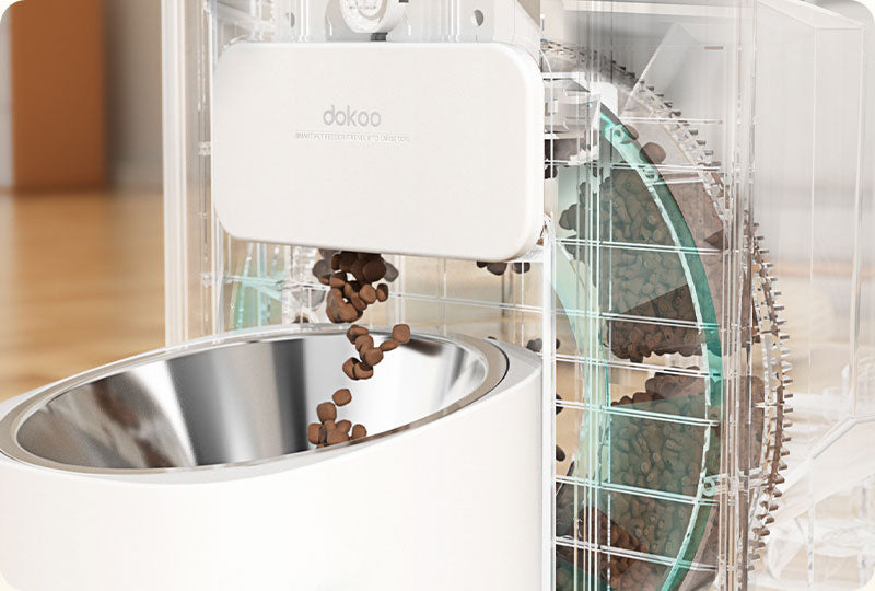 Dokoo kibble-friendly feeder for large dog
