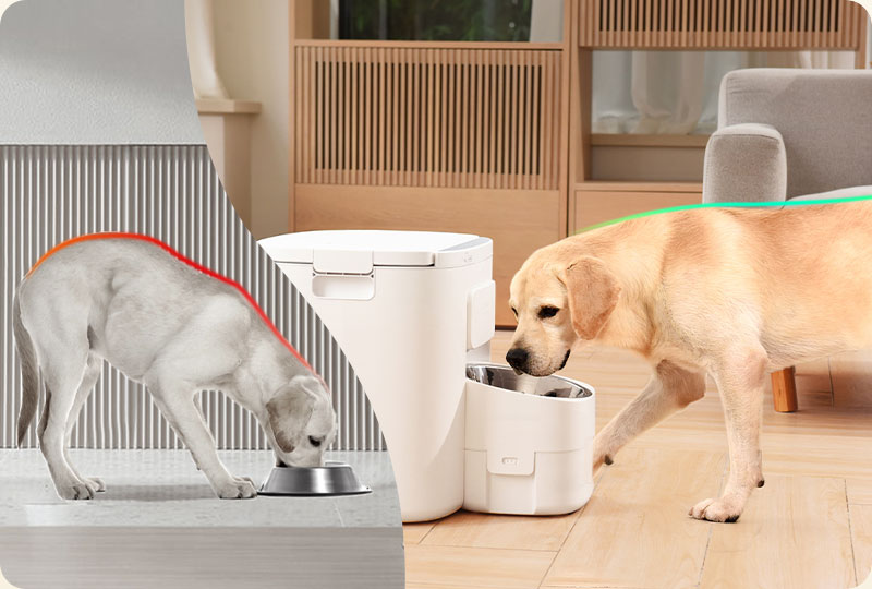 Automatic Dog Feeder with Adjustable Bowl Stand