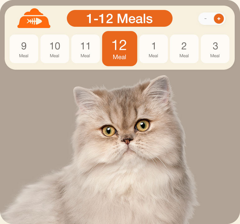 Pet Feeder