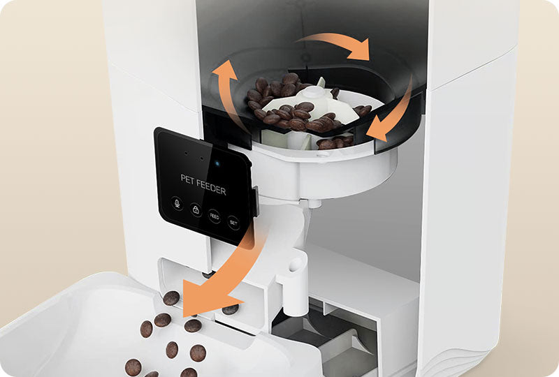 Jam-Free Feeding cat feeder