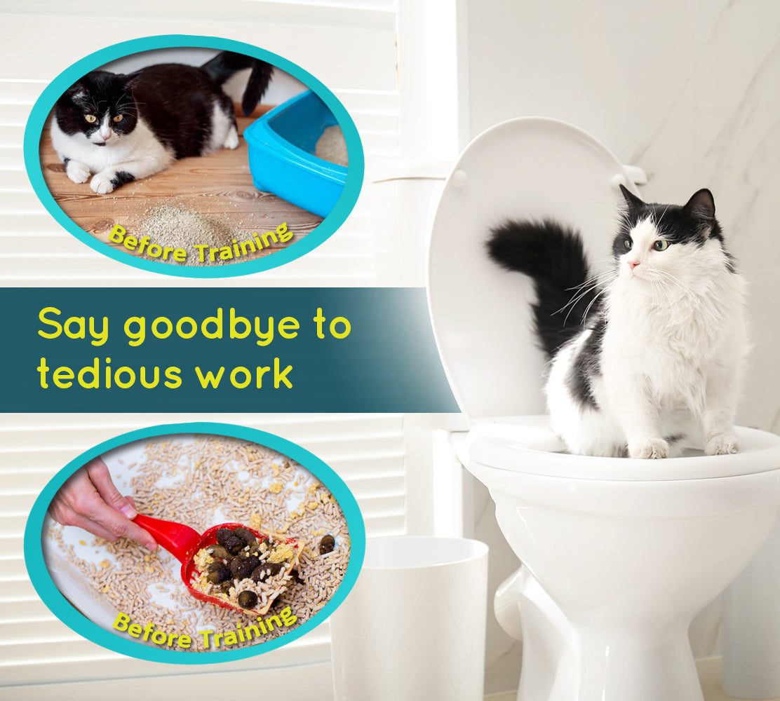  "Ultimate Guide to Pet Toilet Training: Tips and Tricks for a Stress-Free Experience"