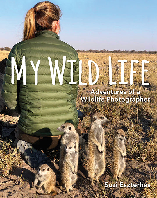 children"s book, my wild life – baby animal  by