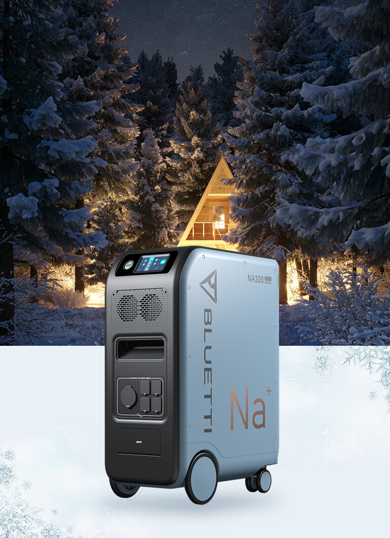 NA300