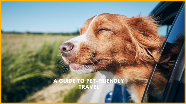  The Ultimate Guide to Puppy Petting: Discover the Joys and Benefits of Cuddling with Your Furry Friend