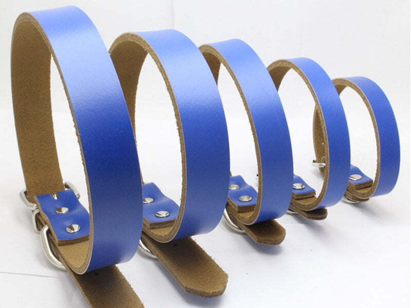 different dog collars