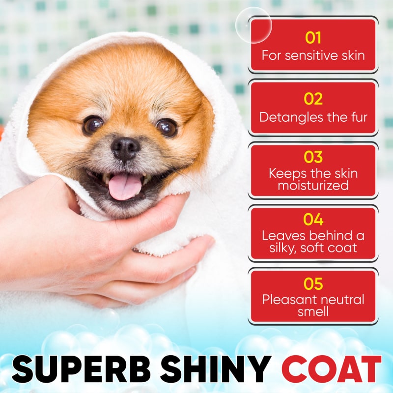  The Ultimate Guide to Choosing the Best Shampoo for Your Pet: Tips and Recommendations