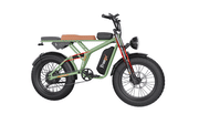 Freego F2 electric bike
