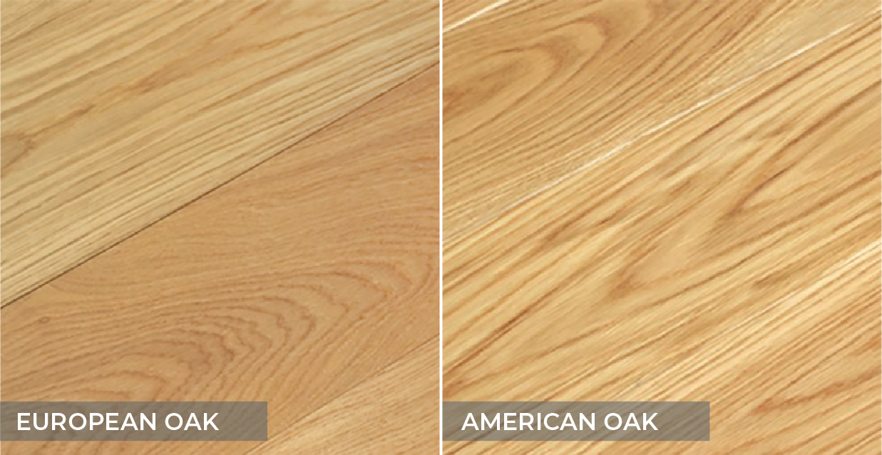 American Oak와 European Oak의 차이점 새로운 프로젝트 뉴스 Global Timber