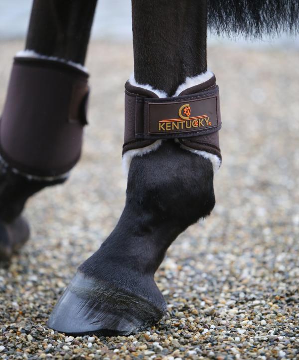  Discover the Ultimate Comfort and Style with Travel Horse Boots for Your Equestrian Adventures