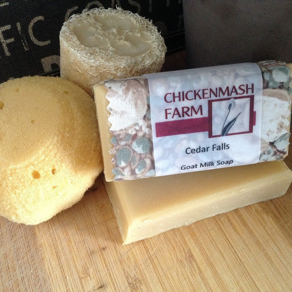 cedar falls goat milk soap | handcrafted soap for men