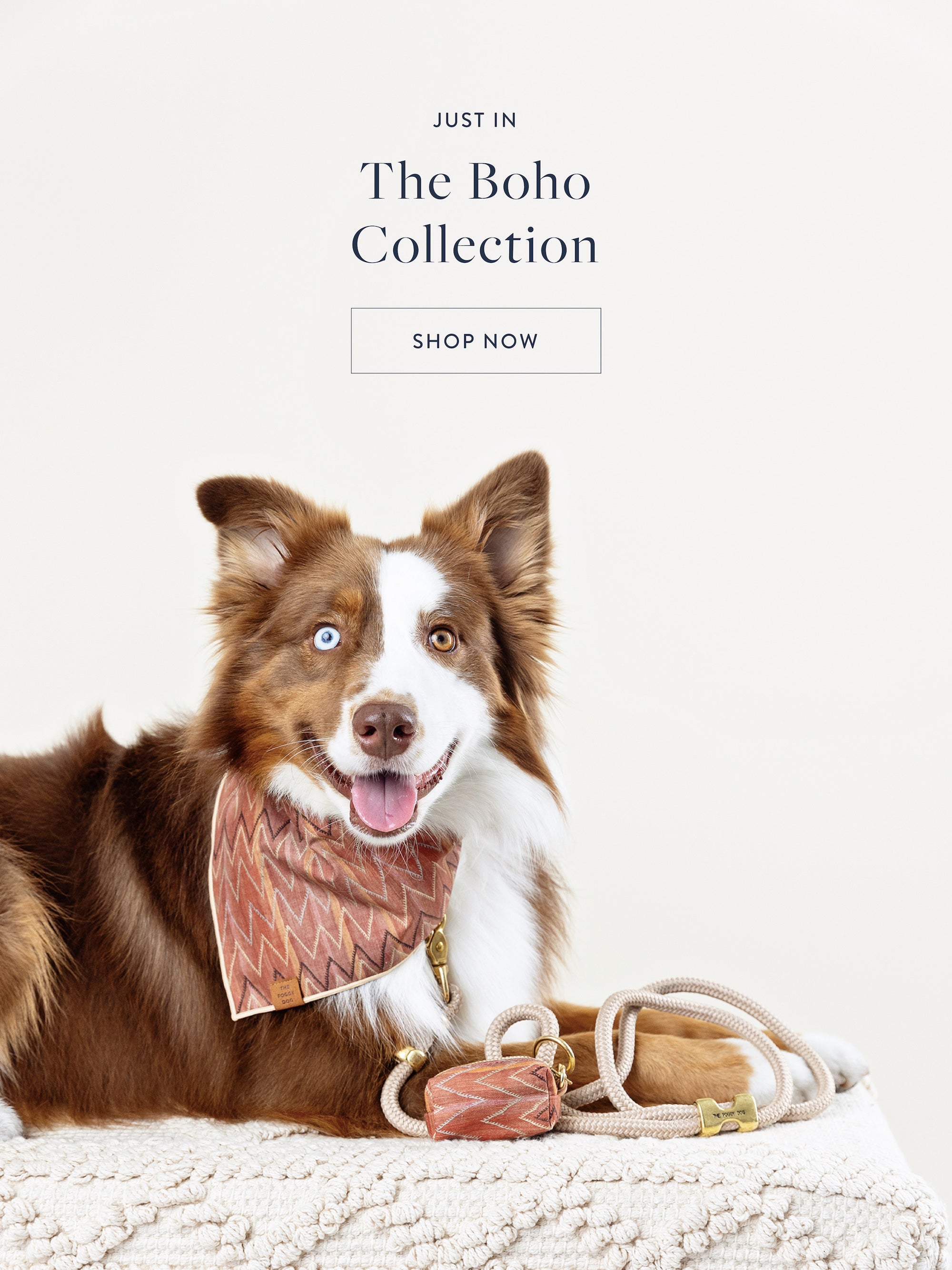 and, every order donates much-needed food to shelter dogs.