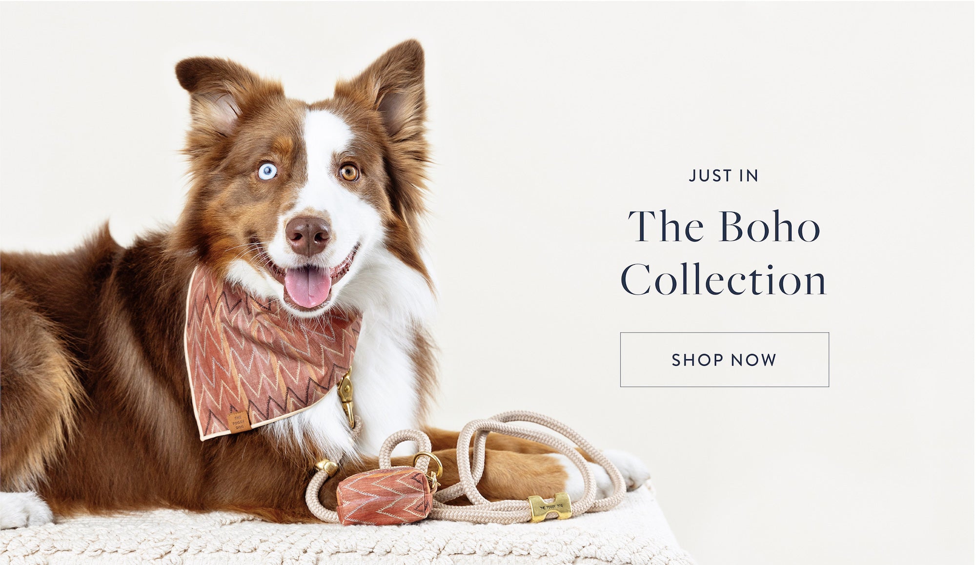 and, every order donates much-needed food to shelter dogs.