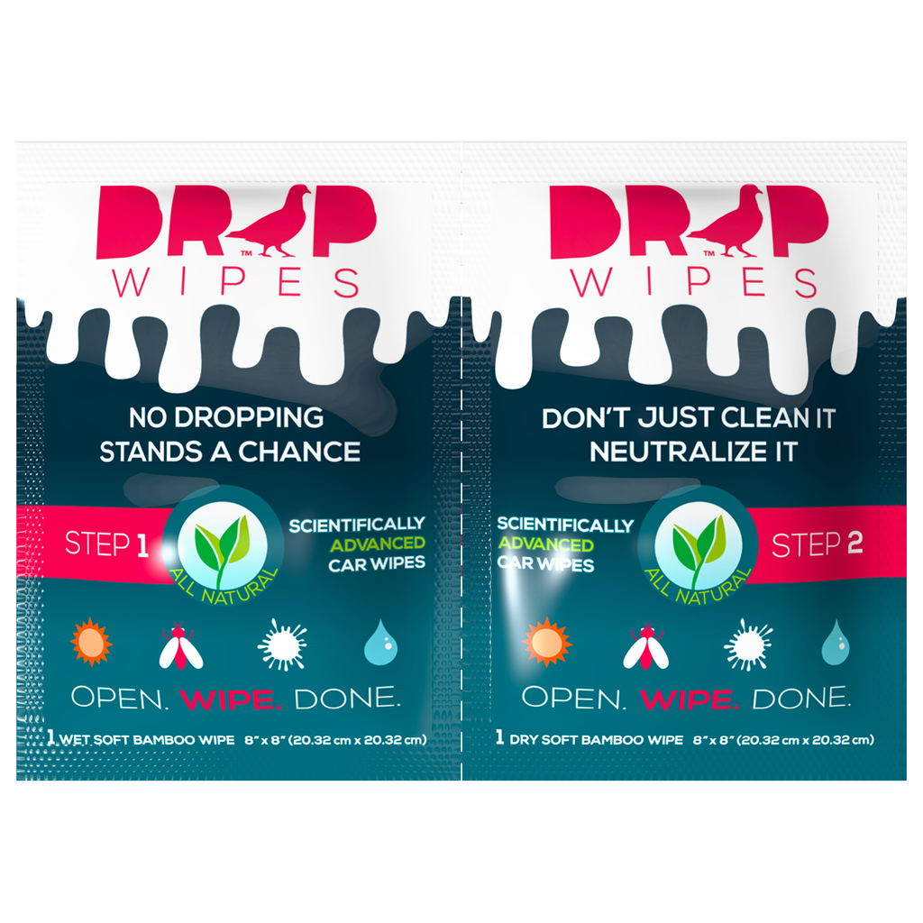 best car wipes to remove bird poop droppings &